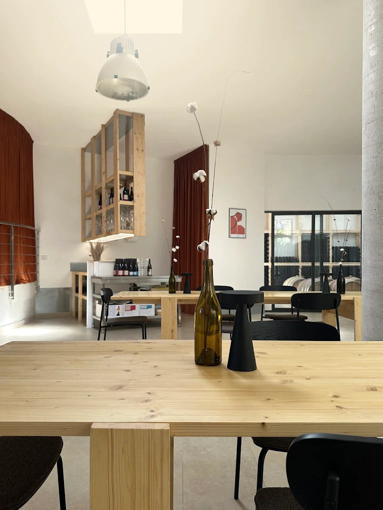 Visita e Degustazione in Cantina