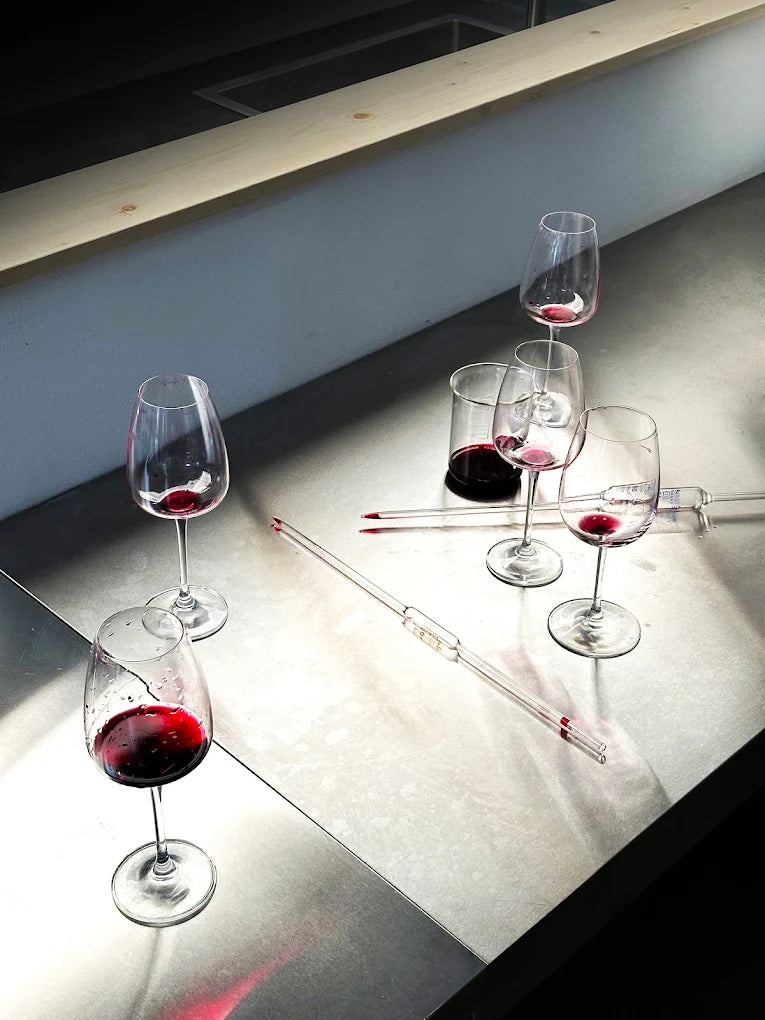 Visita e Degustazione in Cantina