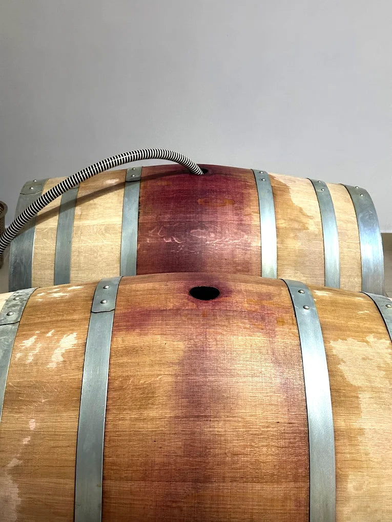 Visita e Degustazione in Cantina