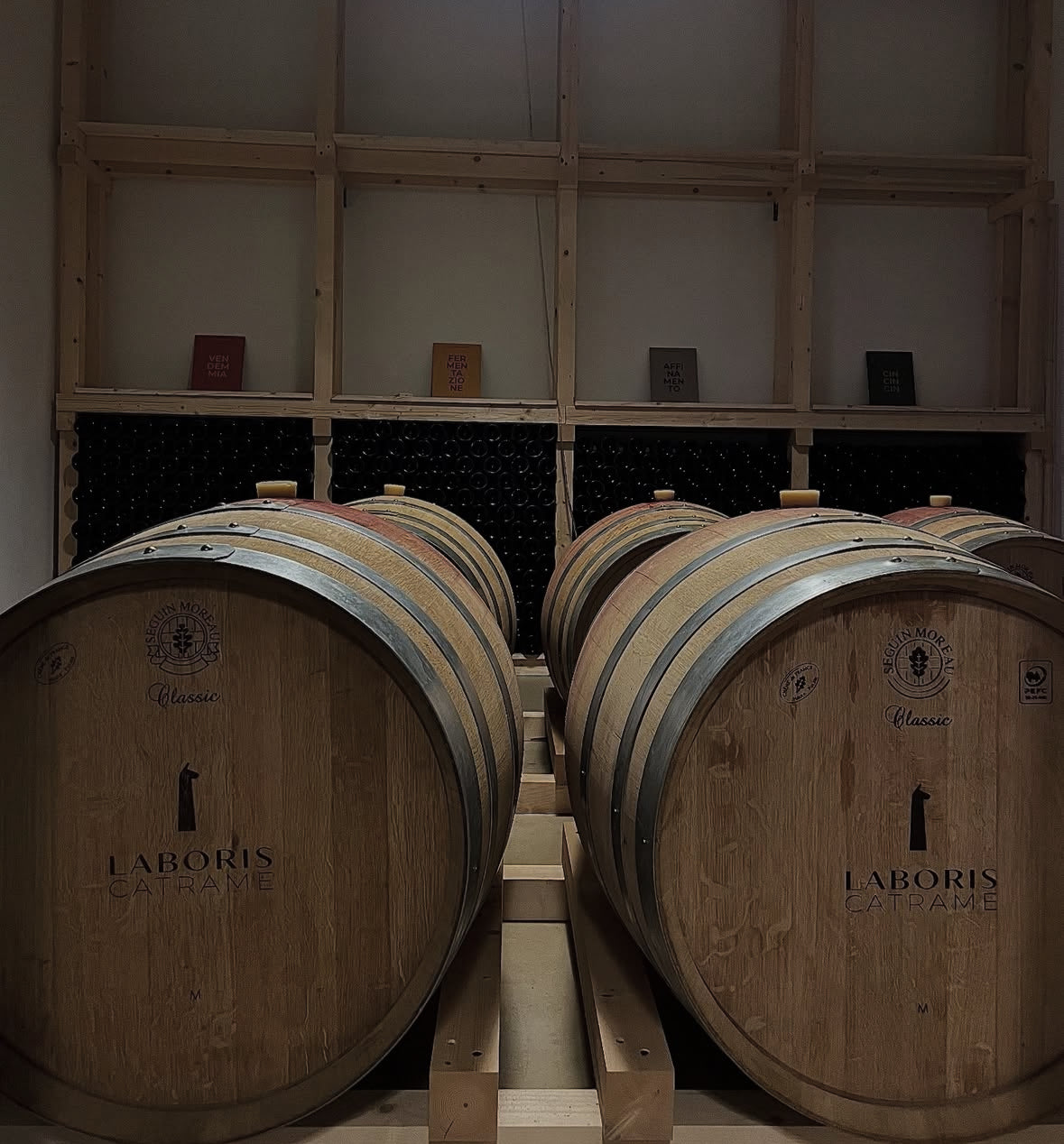 Visita e Degustazione in Cantina